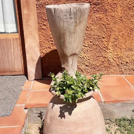 El Solei Paraiso En El Montseny Arbúcies