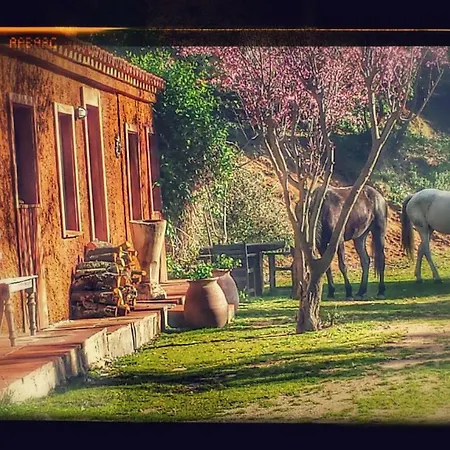 컨트리하우스 El Solei Paraiso En El Montseny Arbúcies
